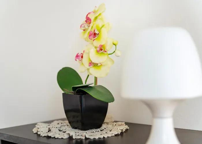 Casa Veronica Levanto